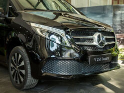 Mercedes Benz V250 Luxury 9 Mercedes-Benz V250 Luxury